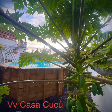 Casa Cucu Villa Tazacorte Eksteriør billede