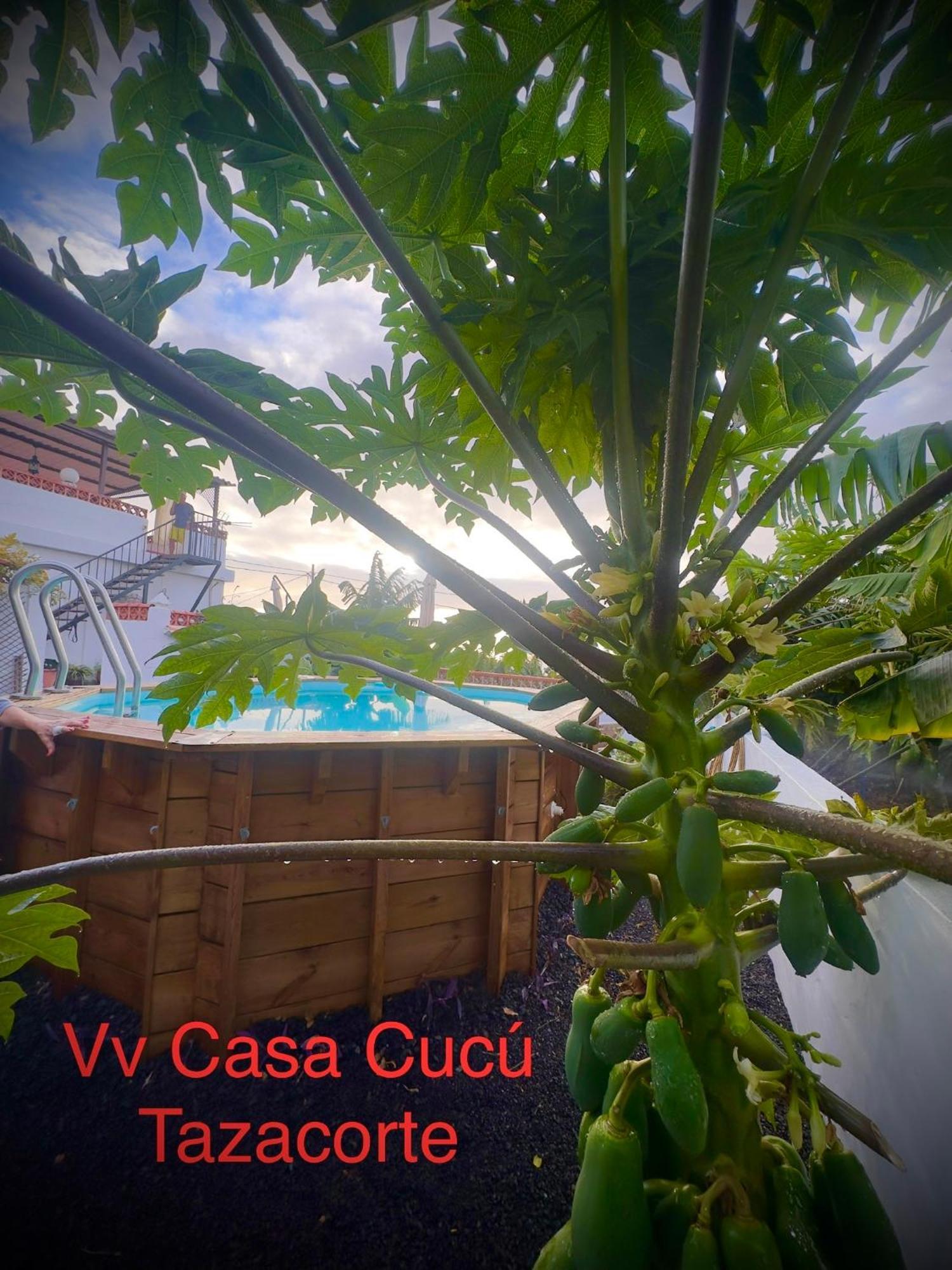 Casa Cucu Villa Tazacorte Eksteriør billede